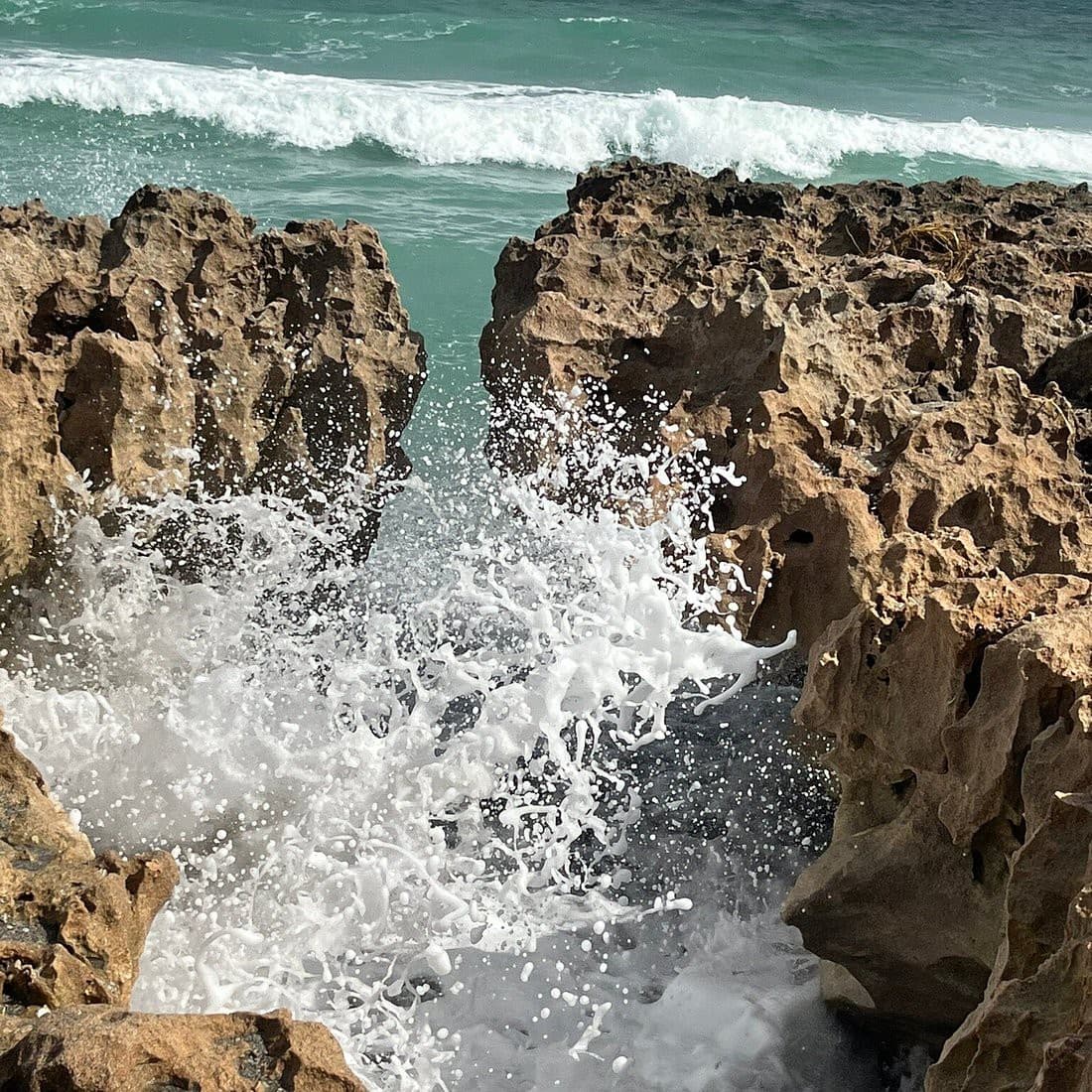 Waves crashing through the limestone rock outcrop at Blowing Rocks Preserve