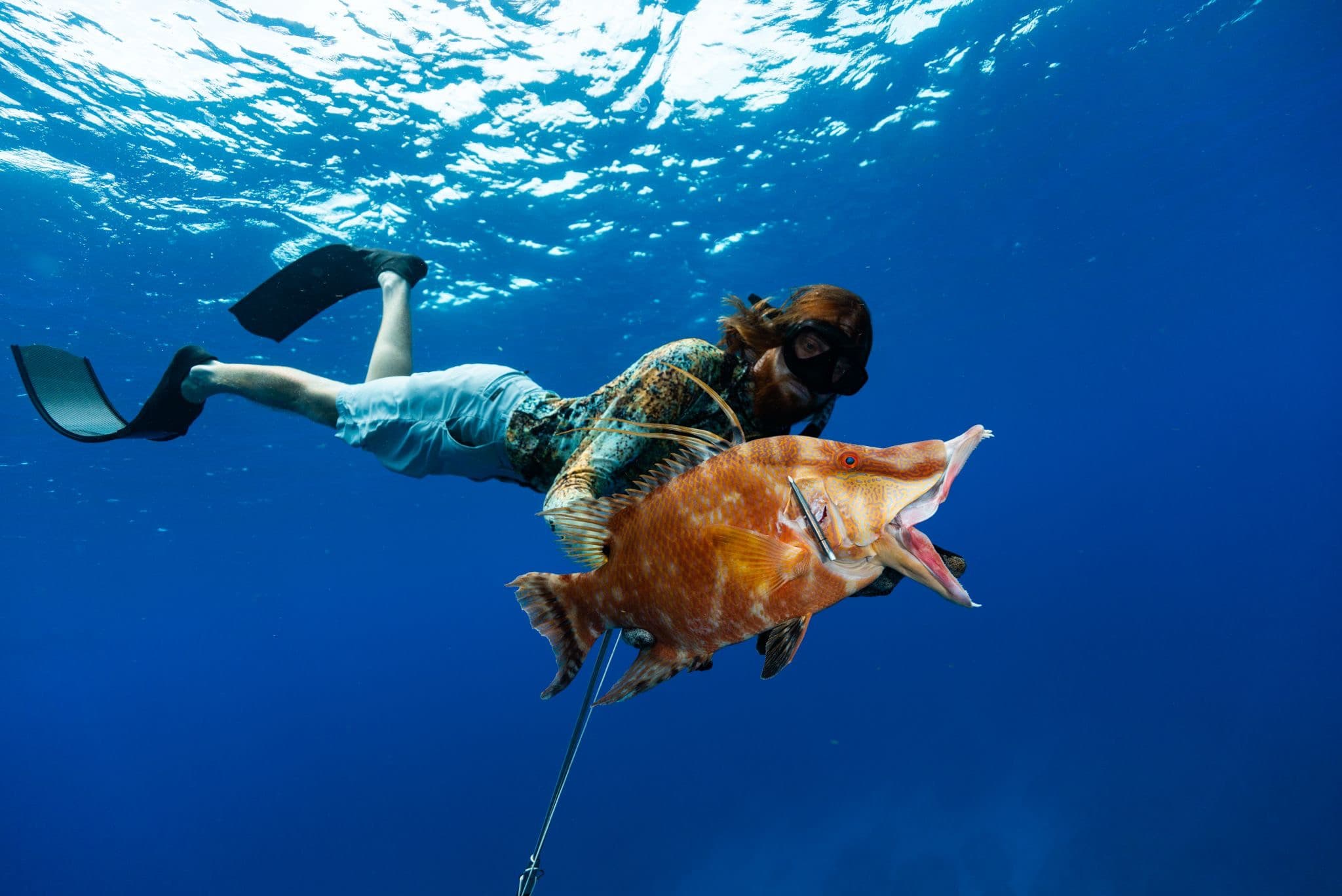 Ryan Dunnam freediving with a speared hogfish in open water